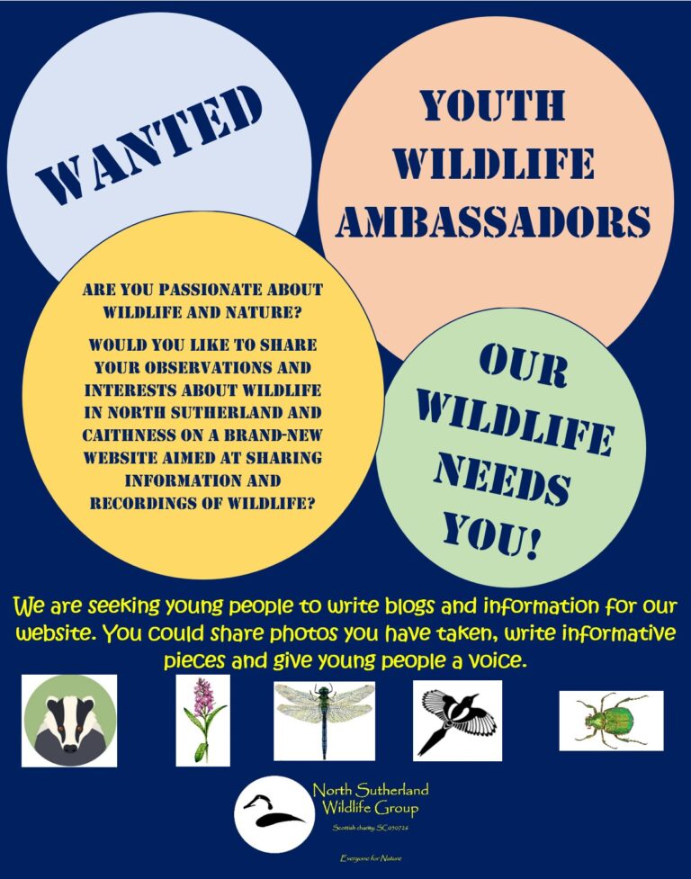Wanted! Youth wildlife ambassadors