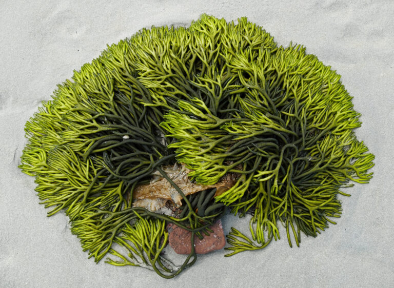 Abigail Rhodes Photography Competition 2025 Results